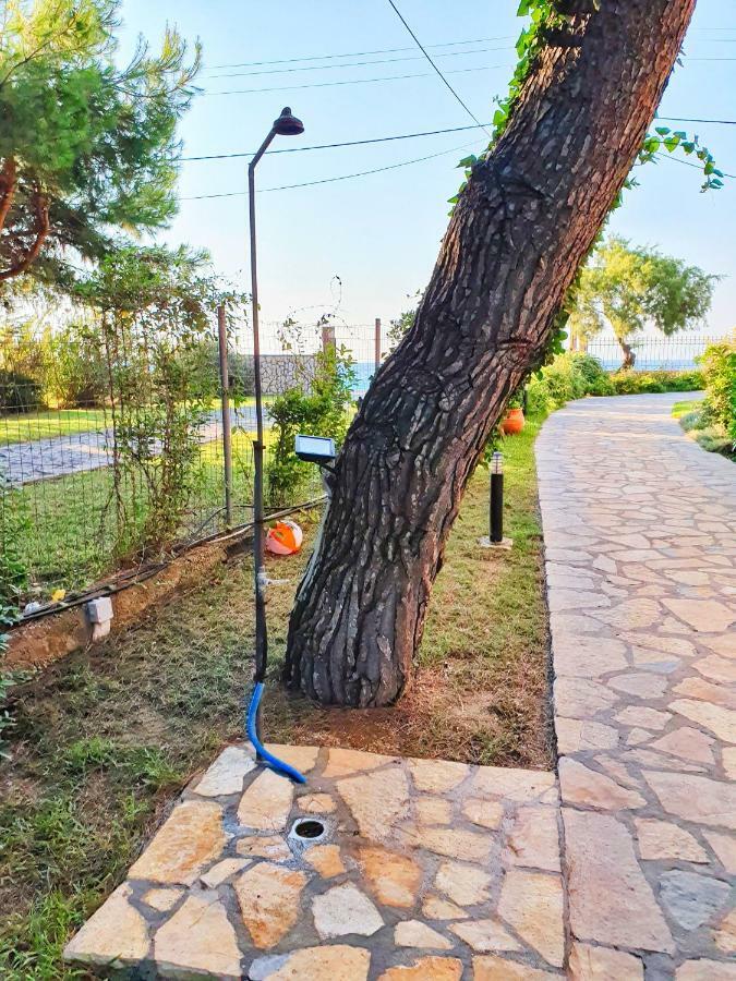 Makis&Fani Homes Agios Ioannis  Exteriör bild